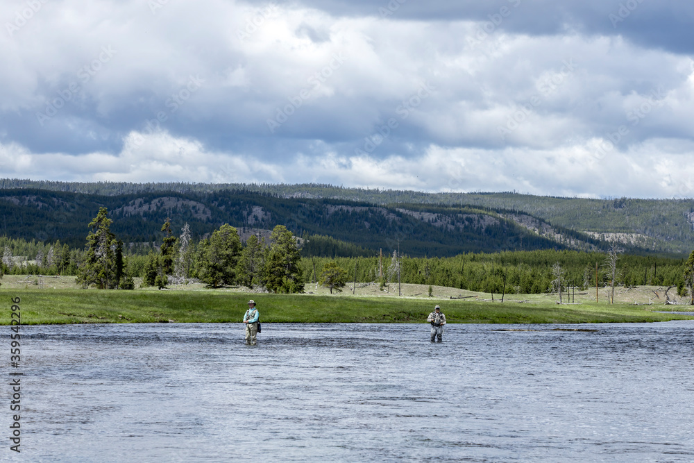 Fly fishing in the Gibbon River in Wyoming.