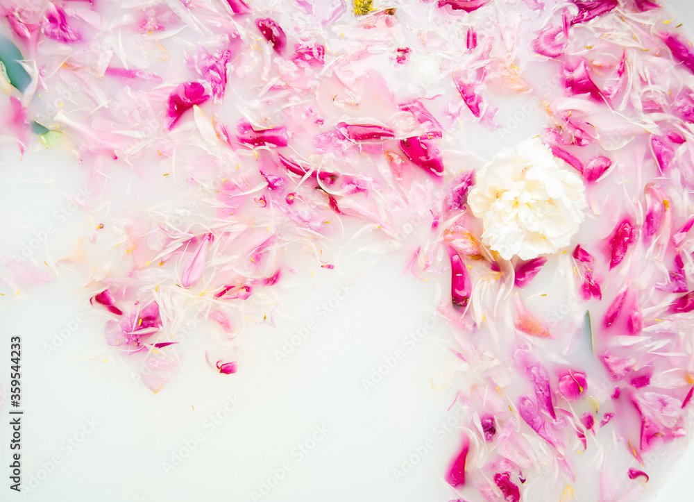 Peonies in a bathtub full of milk and water. Background photo.