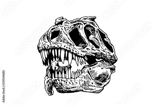 Graphical skull of tyrannosaurus isolated on white, vector illustration for tattoo ,typography and design
