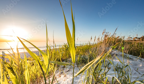 Fototapeta Naklejka Na Ścianę i Meble -  ostsee