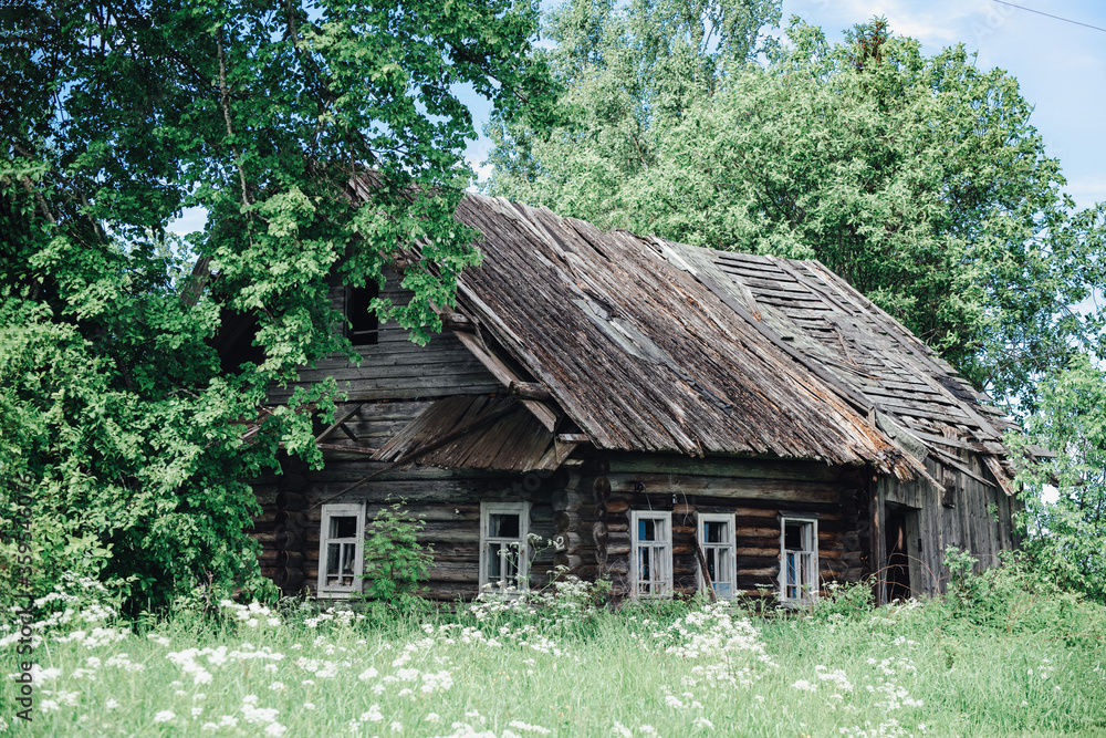 Old, collapsing, wooden rustic abandoned house among trees on a summer day and grass around Old, collapsing, wooden rustic abandoned house among trees on a summer day and grass around