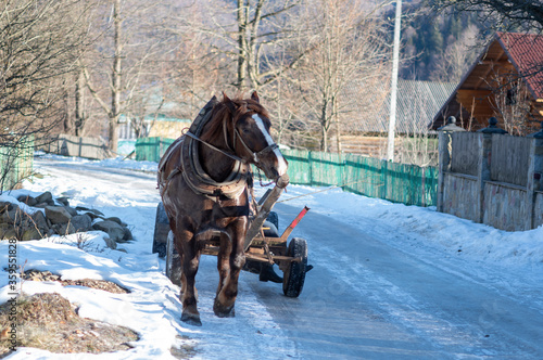 A brown country horse drags a wooden cart. A horse walking in the village in winter.