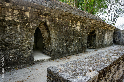 Fototapeta Naklejka Na Ścianę i Meble -  Cahal Peh Temple ancient Mayan temple near San Ignacio in Belize.