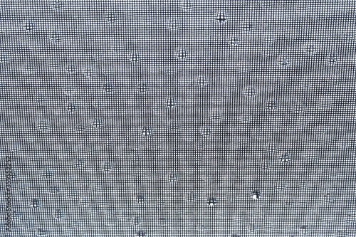 Blurred many droplets on grid net wall surface in rainy day