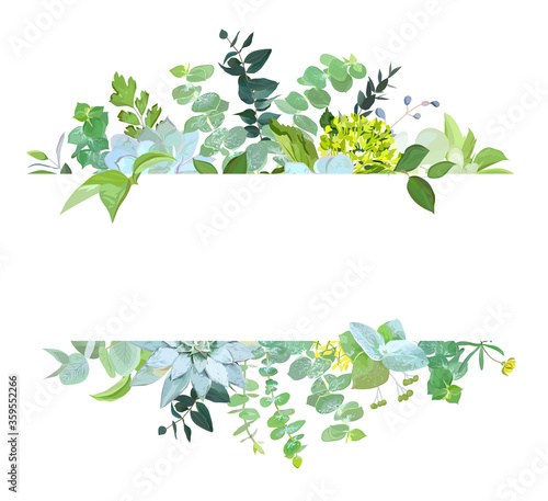 Horisontal botanical vector design banner