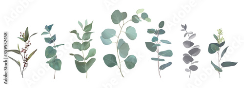Mix of herbs and plants vector big collection