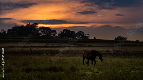 Sunset Glow over Grazing Horse