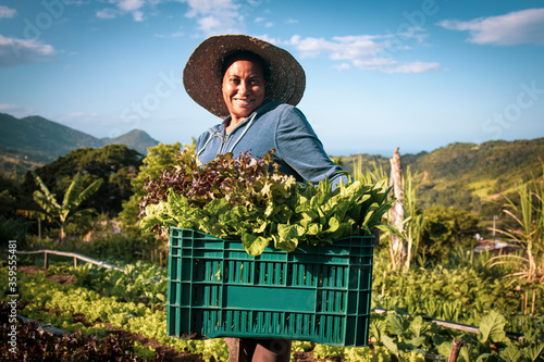 Portrait of proud organic farmer woman wearing a hat from a quilombola community harvesting vegetables. Bio food gathering in a sunny day and blue sky.
