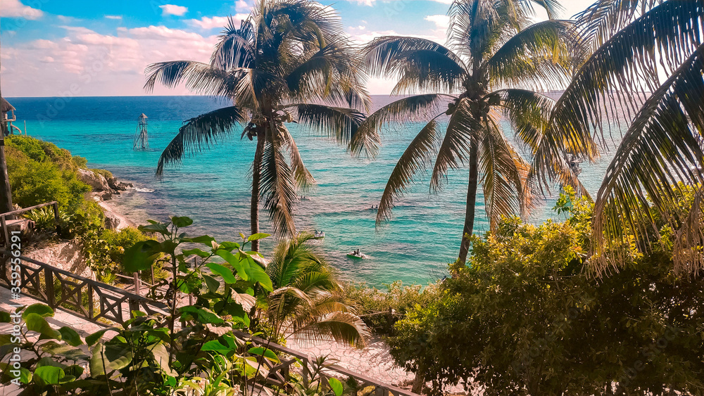 Naklejka premium tropical beach with palm trees in the caribean
