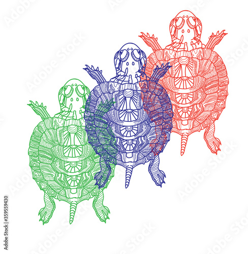 Pond slider. turtle. Doodling coloring book. A drawing with many details. Meditative coloring. Dots, strokes, patterns.