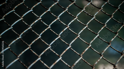 Old metal mesh closeup. Trellised fence. Beautiful background. Peeling paint. High quality photo
