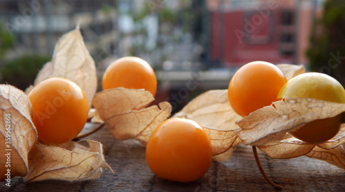 Фотография photograph of several cape gooseberries, which is a fruit on a natural blurred b