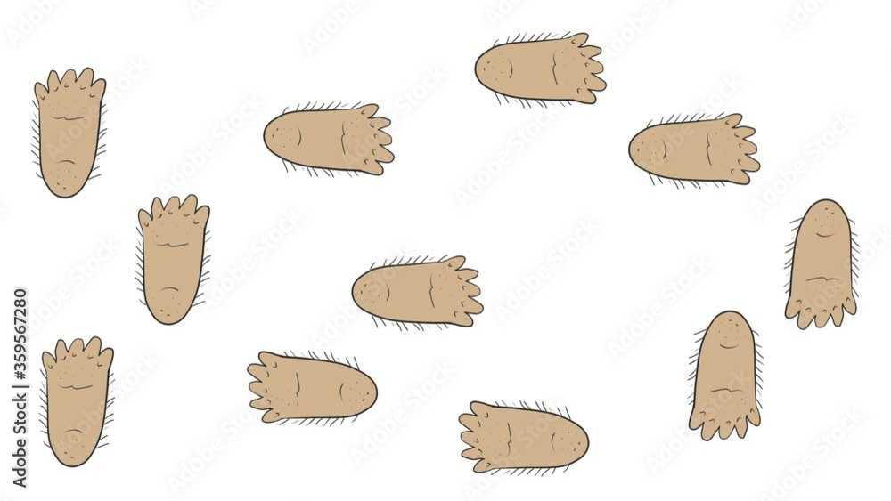 Footprints of a walking Bigfoot on a white background. Foot prints of Snowman yeti. Footprints of a walking Bigfoot on a white background. Foot prints of Snowman yeti.