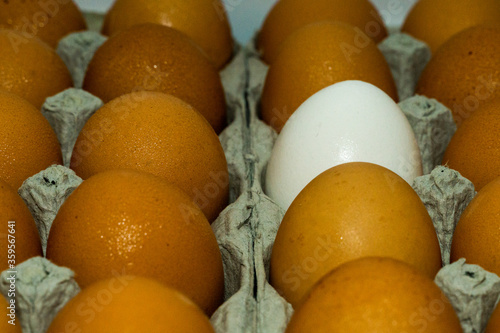 Close up Two Dozen Eggs organic Brown eggs surround On White egg contrast stock photograph photo