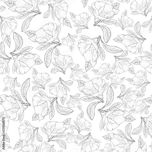 Flower of magnolia seamless pattern, black sketch on white background, hand draw pencil art