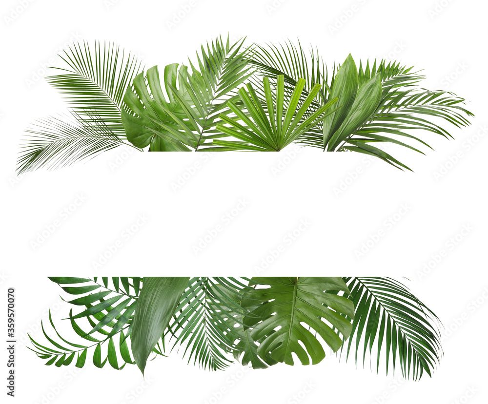 Frame made of beautiful lush tropical leaves on white background, top view. Space for text Frame made of beautiful lush tropical leaves on white background, top view. Space for text