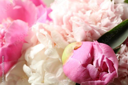 Beautiful peony bouquet as background, closeup view © New Africa