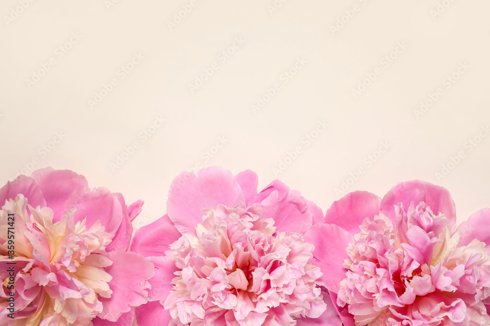 custom made wallpaper toronto digitalBeautiful fresh peonies on beige background, flat lay. Space for text