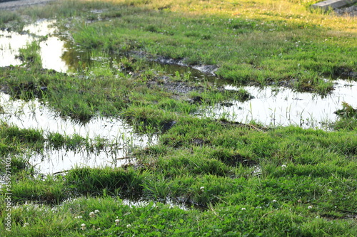 Flooding grass area from rain storm  © Douglas