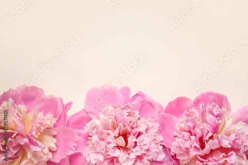 Wallpaper Mural Beautiful fresh peonies on beige background, flat lay. Space for text Torontodigital.ca