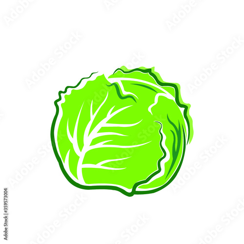 cabbage isolated on white background