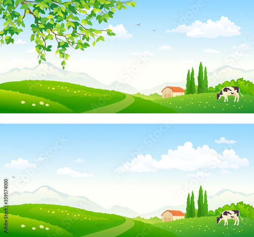 Summer farm pasture with a grazing cow