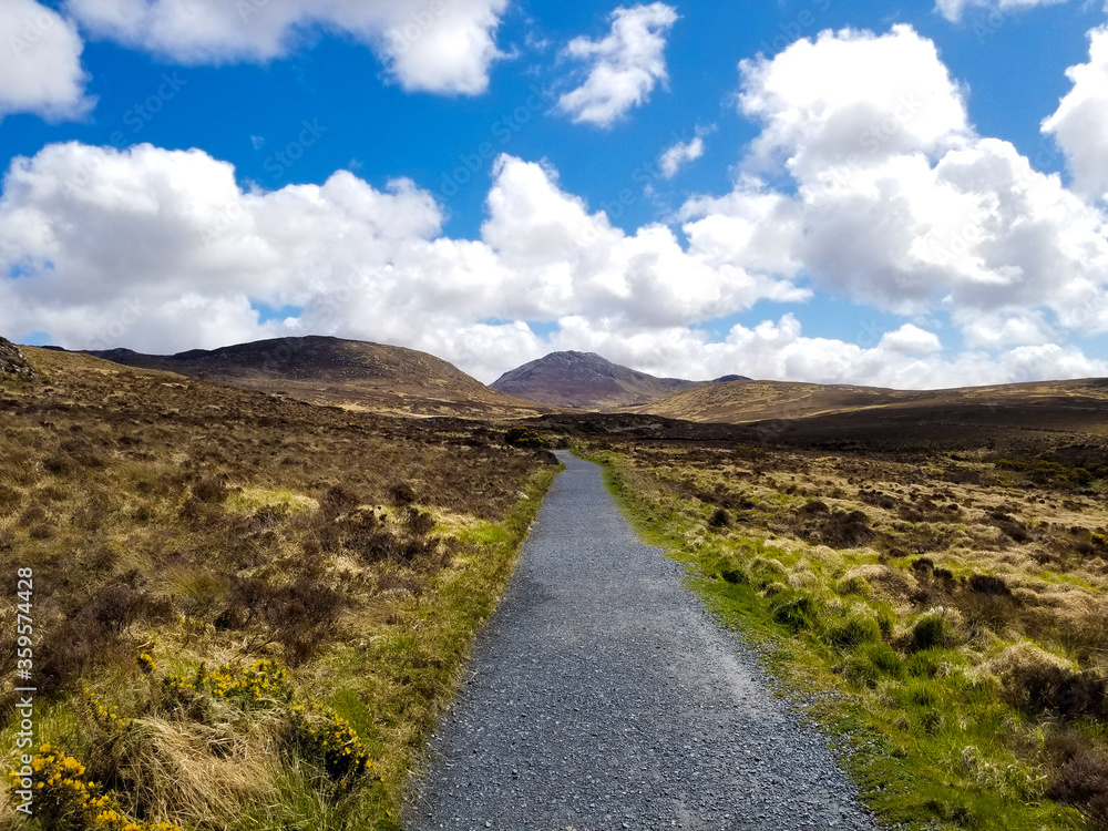 Connemara Path