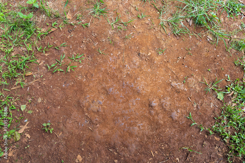 top view of soil background. flat lay