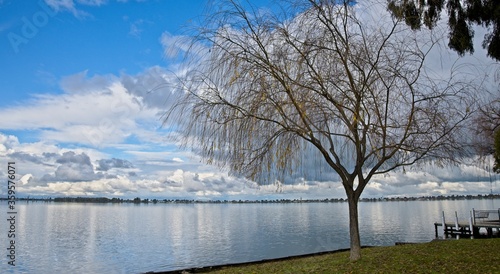 Wallpaper Mural Autumn Tree on the Shore of Lake Mulwala Torontodigital.ca