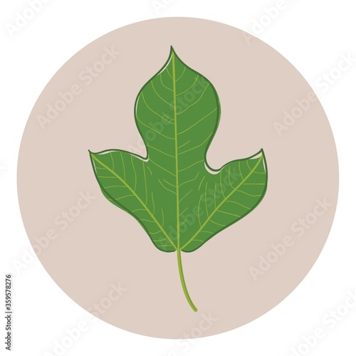leaf