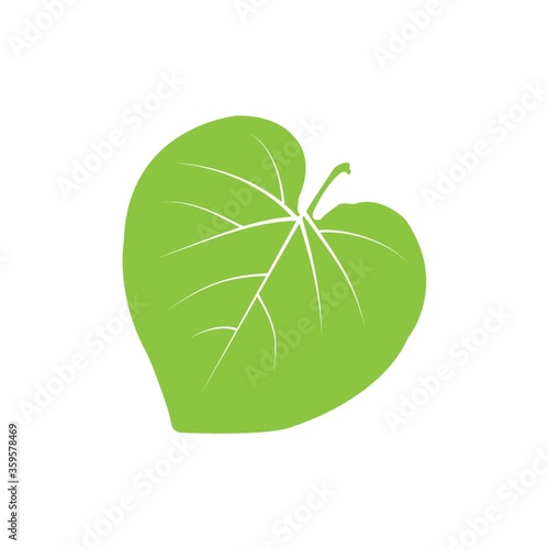 A leaf illustration.