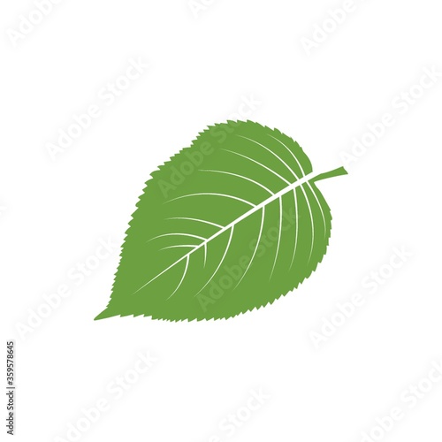 A leaf illustration.
