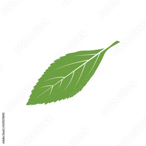 A leaf illustration.