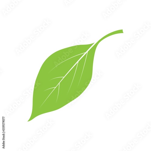 A leaf illustration.