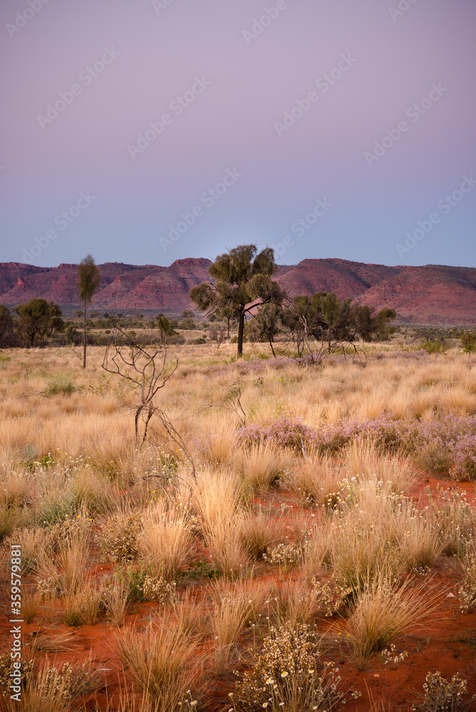 Fototapeta premium MacDonnell Ranges at sunset