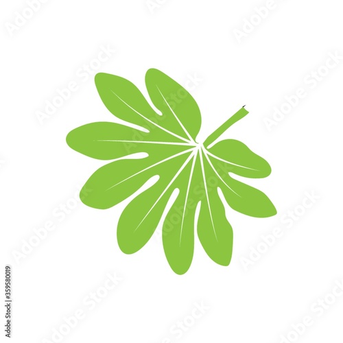 A leaf illustration.