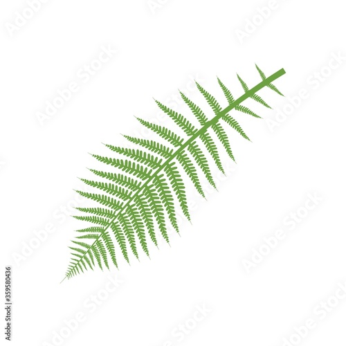 A leaf illustration.