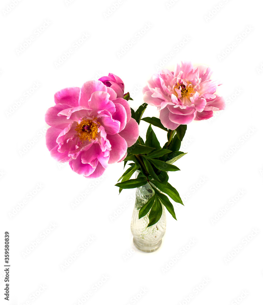 photo bouquet with pink peony in a vase, isolate on a white background