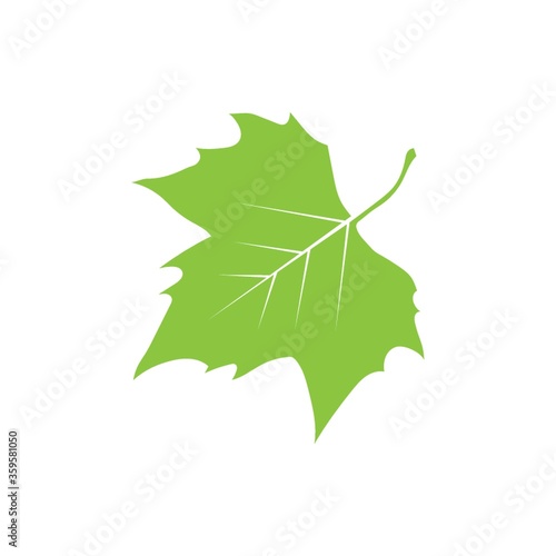 A maple leaf illustration.