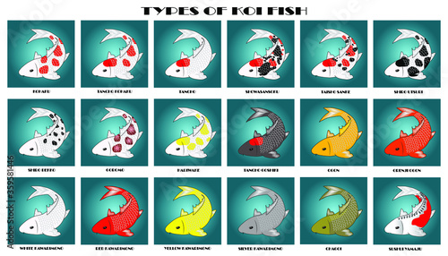 Types of koi fish in one vector