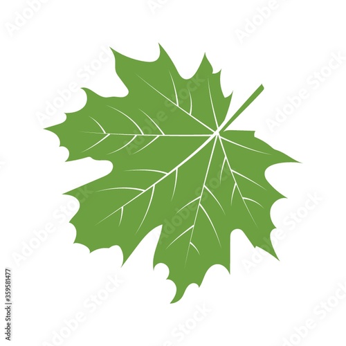 A maple leaf illustration.