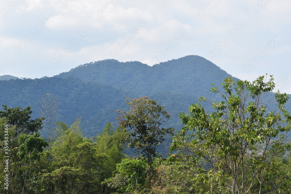 Fototapeta premium Paisaje de una montaña con cielo despejado en pleno verano