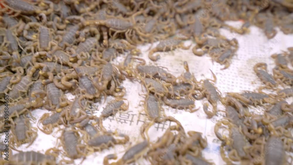 Freshly caught scorpions for frying - close up Freshly caught scorpions for frying - close up