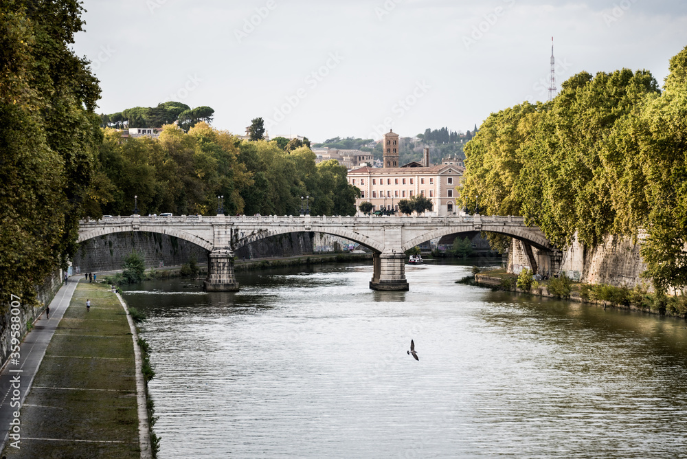 View of the city through the Tiber river, Rome