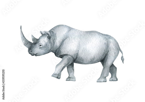 Watercolor rhinoceros. Wild african animal. Savannah rino for posters  card  decoration  scrapbooking. Exotic animal.