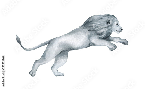 Watercolor lion on black and white color isolated on white background. Running animal from African savannah. Big wild cat in minimalist style for posters, card, decoration, scrapbooking © Kate K.