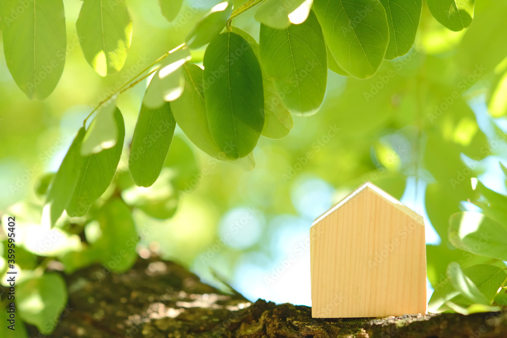 Fotografie Wooden house on a tree