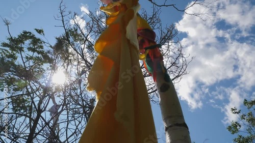 Rags and skins on birch trees. Tradition of reading perfume in the people of Khanta. Excellent spiritual forces and rituals. photo