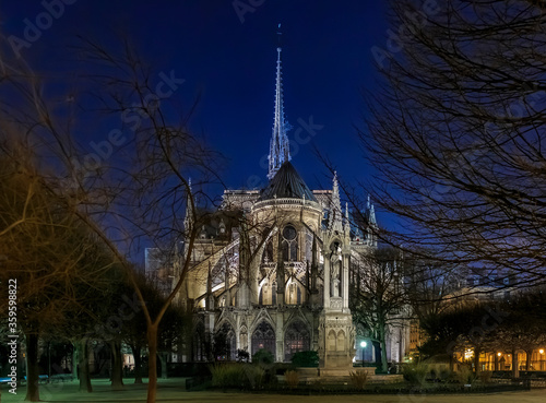 Fotografie, Obraz Illuminatred back side of Notre Dame de Paris at night in Paris France