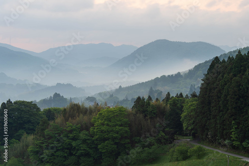 朝靄が美しい大阪の山間部 © sigmaphoto